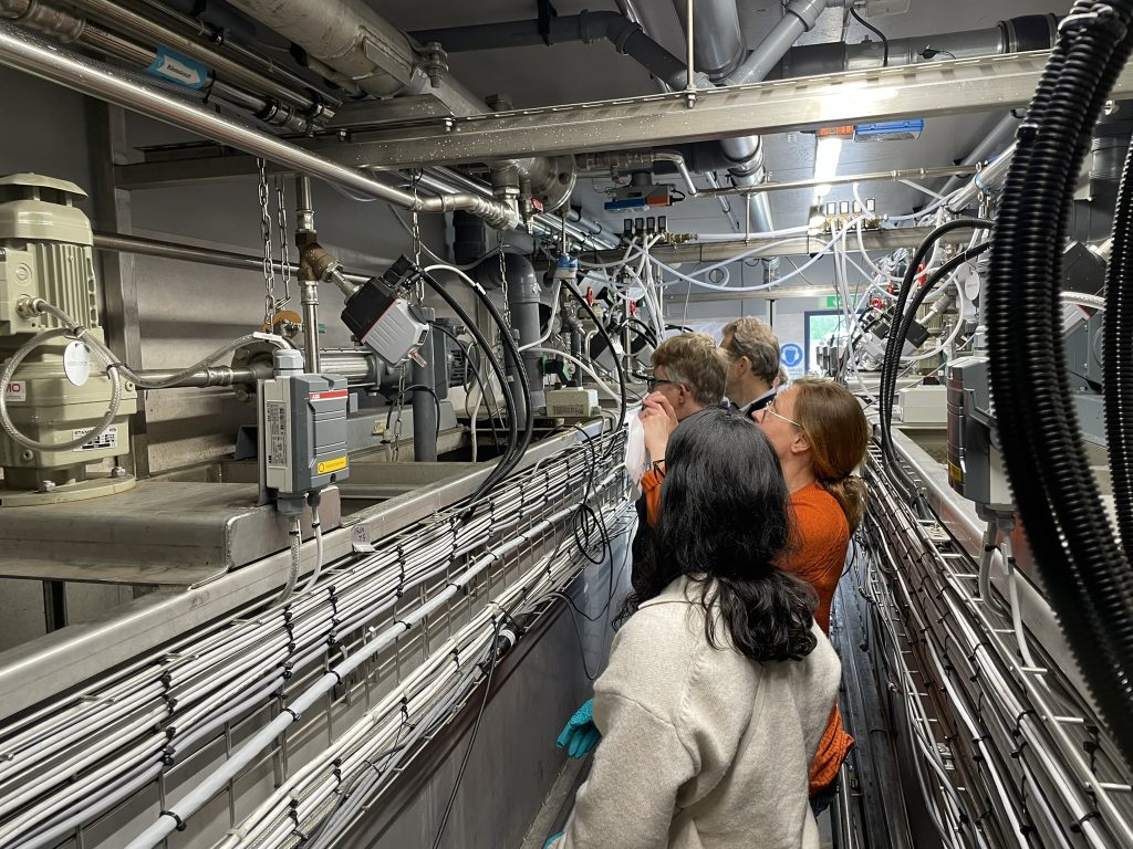 Foto. En grupp människor står och tittar på slangar och rör under ett studiebesök på pilotanläggningen i Sundsvall.