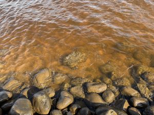 Foto. Grumligt vatten vid stenstrand.
