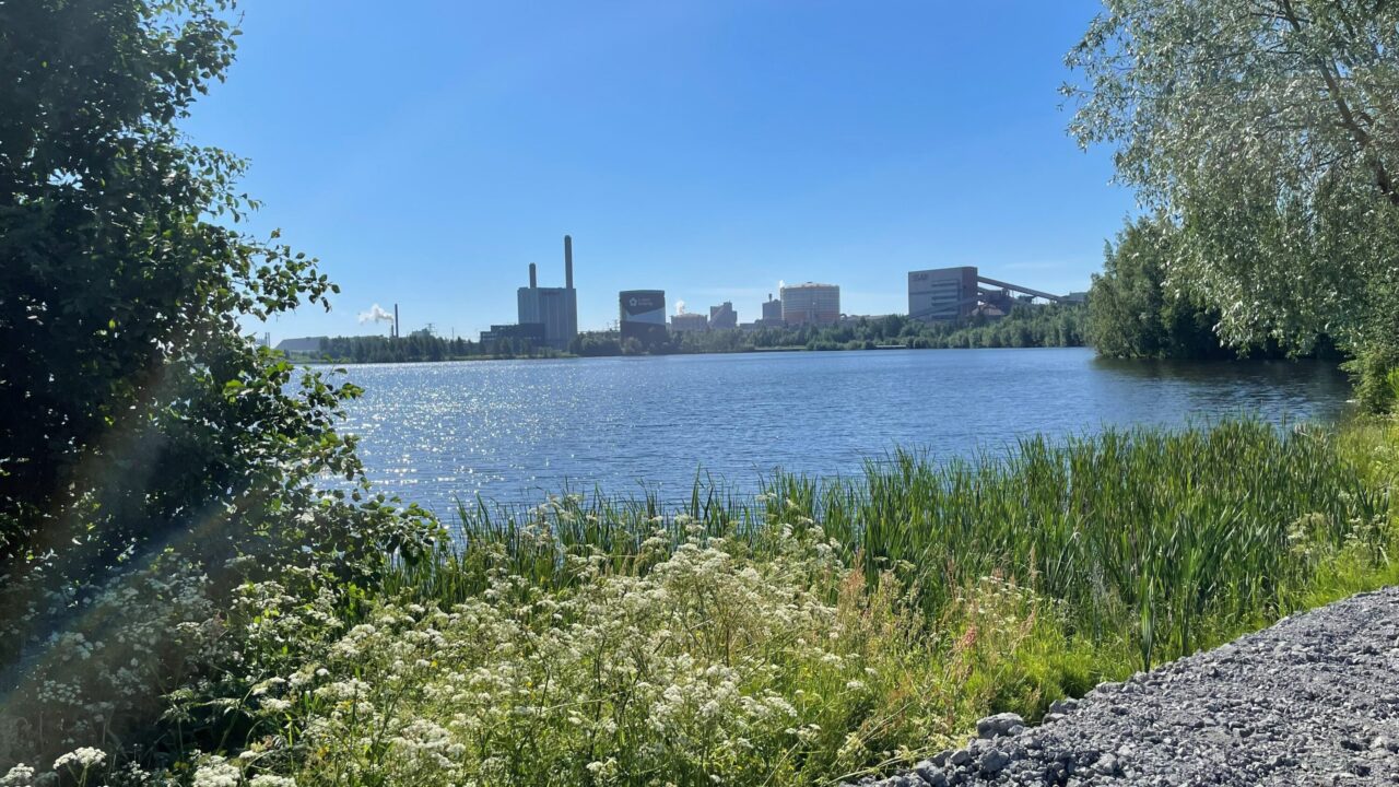 Sommarbild arontorpsviken luleå vatten grönska